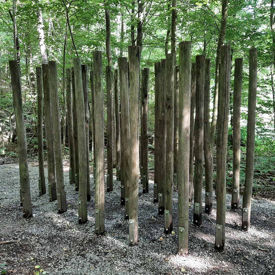 Baumstammlabyrinth | Labyrinth aus Baumstämmen