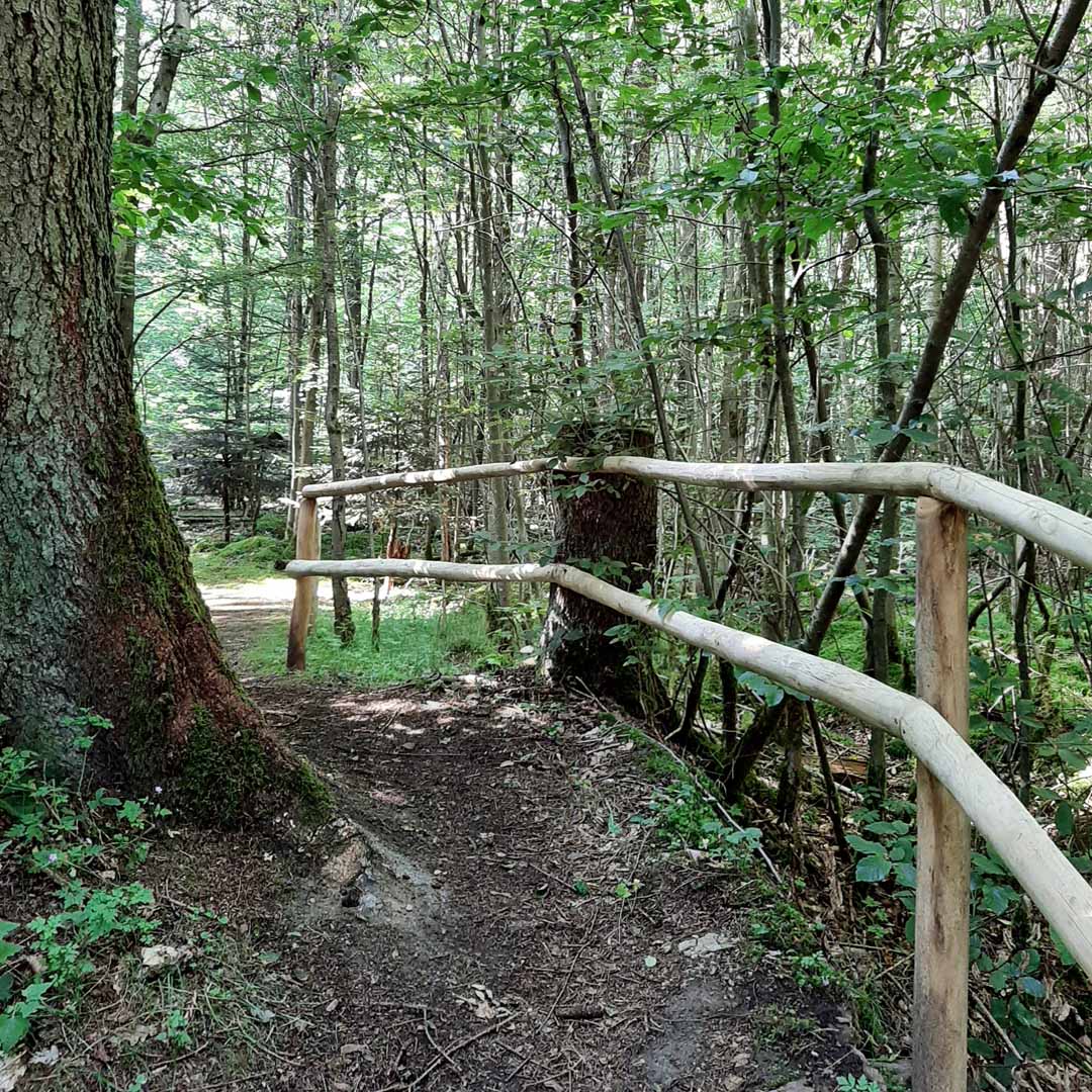 Naturholz Geländer | Begrenzung
